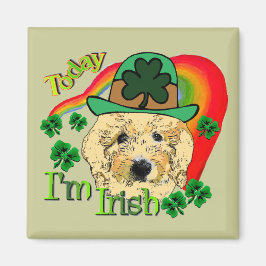 St Patricks Day Goldendole Magneet