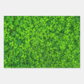 St. Patrick's Day Green Shamrocks Leprechaun Fun 3 Inpakpapier Vel (Voorkant 3)