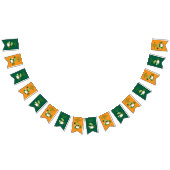 St. Patrick's Day Groene en Oranje Bunting Banner (Alle)