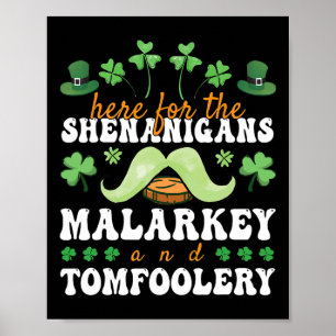 St. Patrick's Day hier voor de grapjes en onzin Poster
