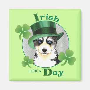 St. Patrick's Day Husky Magneet
