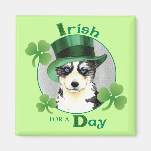 St. Patrick's Day Husky Magneet (Voorkant)