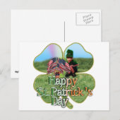St. Patrick's Day Iers Amerikaans kabouter Briefkaart (Voorkant / Achterkant)