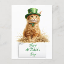 St Patrick's Day Ierse Oranje kat