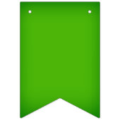 St. Patrick's Day Ierse vlaggen Vlaggetjes (Derde vlag)