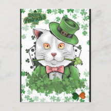 St. Patrick's Day Irish Cat Briefkaart