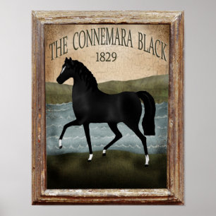 St. Patricks Day Irish Horse, douane-Boerderij Sig Poster