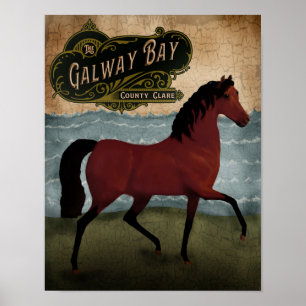 St Patrick's Day Irish Horse, handelsmerk Poster