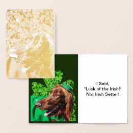 St. Patrick's Day Irish Setter in Clovers, ZSSG Folie Kaarten