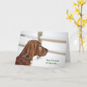 St. Patrick's Day Irish Setter Kaart (Gele Bloem)