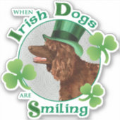 St. Patrick's Day Irish Water Spaniel Vinyl Sticker (Voorkant)