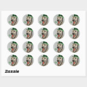 St. Patrick's Day Irish Wolfhound Classic Round St Ronde Sticker (Vel)