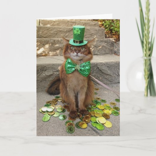 St. Patrick's Day Kabouter Somalische Kat Met Hoed Kaart (Voorkant)