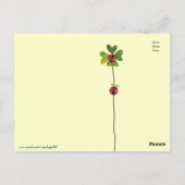 St. Patrick's Day klaver & lieveheersbeestjes Briefkaart (Achterkant)