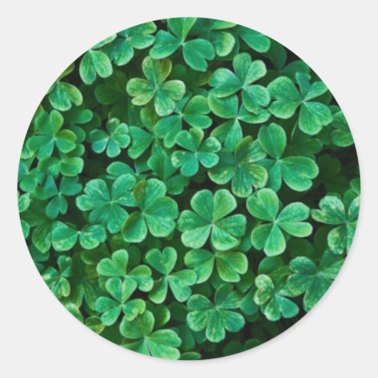St. Patrick's Day klaverblad patch Ronde Sticker (Voorkant)