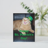 St Patrick's Day Leprechaun Cat Briefkaart (Staand voorkant)