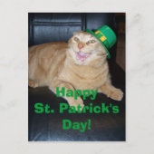 St Patrick's Day Leprechaun Cat Briefkaart (Voorkant)