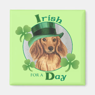 St. Patrick's Day Longhaire Dachshund Magneet