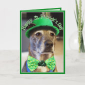 St Patrick's Day Lucky Dog Kaart (Voorkant)