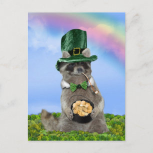 St Patrick's Day - Lucky Raccoon Briefkaart