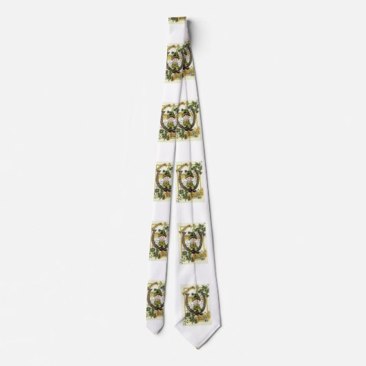 St. Patrick's Day Mannen Designer Stropdassen (Achterkant)