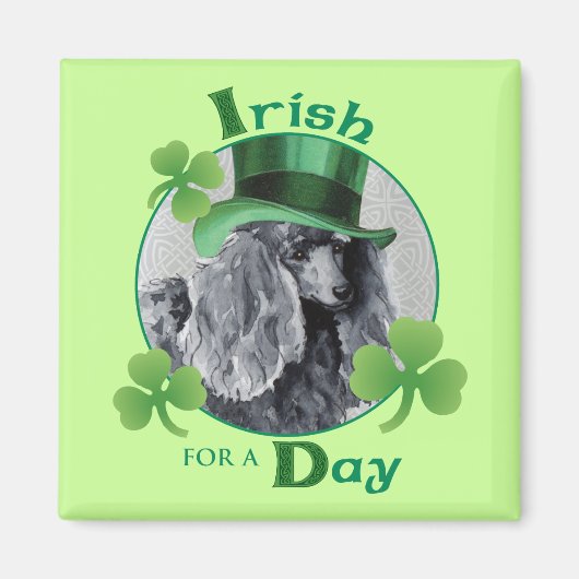 St. Patrick's Day Miniature Poodle Magneet (Voorkant)