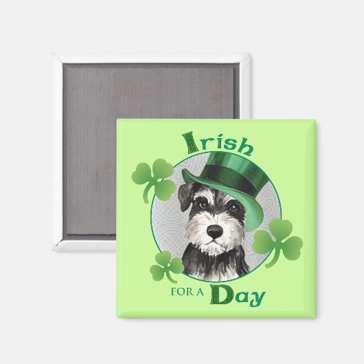 St. Patrick's Day Miniature Schnauzer Magneet (Voorkant / Achterkant)