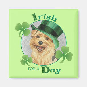 St. Patrick's Day Norfolk Terrier Magneet