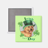 St. Patrick's Day Norwich Terrier Magneet (Voorkant / Achterkant)