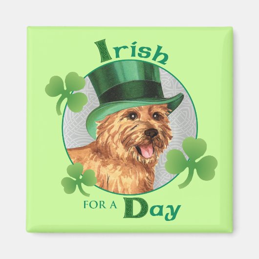 St. Patrick's Day Norwich Terrier Magneet (Voorkant)
