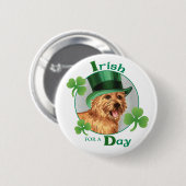St. Patrick's Day Norwich Terrier Ronde Button 5,7 Cm (Voorkant /achterkant)