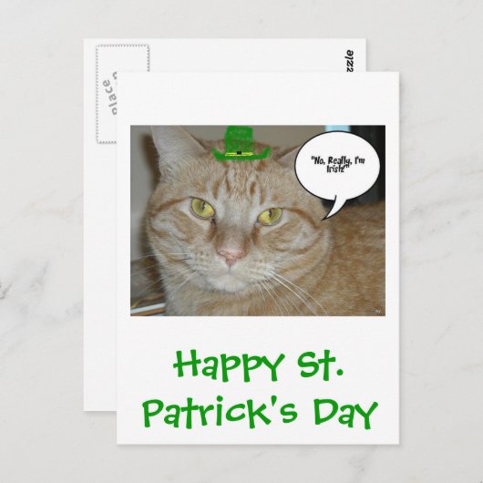 St. Patrick's Day Oranje Tabby Cat Briefkaart (Voorkant / Achterkant)
