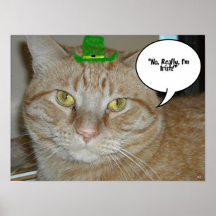 St. Patrick's Day Oranje Tabby Cat Poster