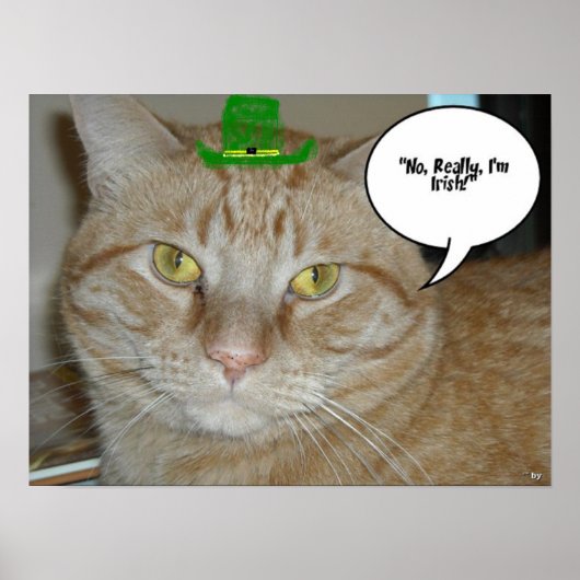 St. Patrick's Day Oranje Tabby Cat Poster (Voorkant)
