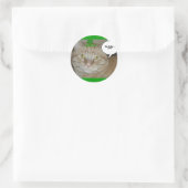 St. Patrick's Day Oranje Tabby Cat Ronde Sticker (Tas)