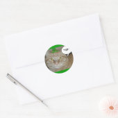 St. Patrick's Day Oranje Tabby Cat Ronde Sticker (Envelop)