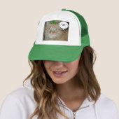 St Patricks Day Oranje Tabby Cat Trucker Pet (In situ)