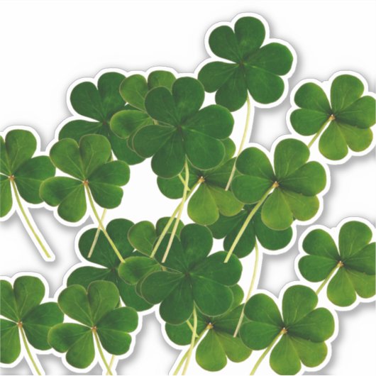 St Patrick's Day Party Shamrock Leaf Green 2020 Sticker (Voorkant)