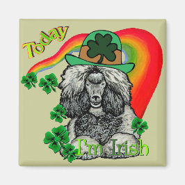 St. Patrick's Day Poodle Magneet