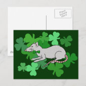St. Patrick's Day Rat Briefkaart (Voorkant / Achterkant)