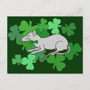 St. Patrick's Day Rat Briefkaart