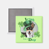 St. Patrick's Day Rat Terrier Magneet (Voorkant / Achterkant)
