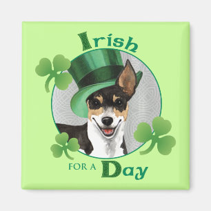 St. Patrick's Day Rat Terrier Magneet