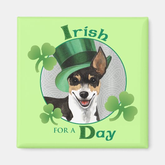 St. Patrick's Day Rat Terrier Magneet (Voorkant)