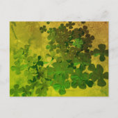 St. Patrick's Day Shamrock Briefkaart (Voorkant)