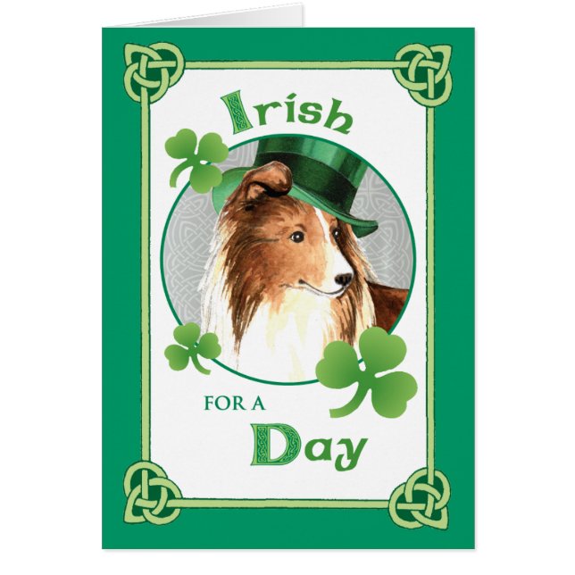 St. Patrick's Day Sheltie (Voorkant)