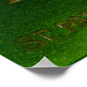 St. Patrick's Day Souvenir Poster (Hoek)