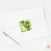 St. Patrick's Day Stickers Leprechaun Shamrocks (Envelop)