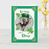 St. Patrick's Day Weimaraner Kaart (Gele Bloem)