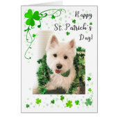St. Patrick's Day West Highland Terrier (Voorkant)